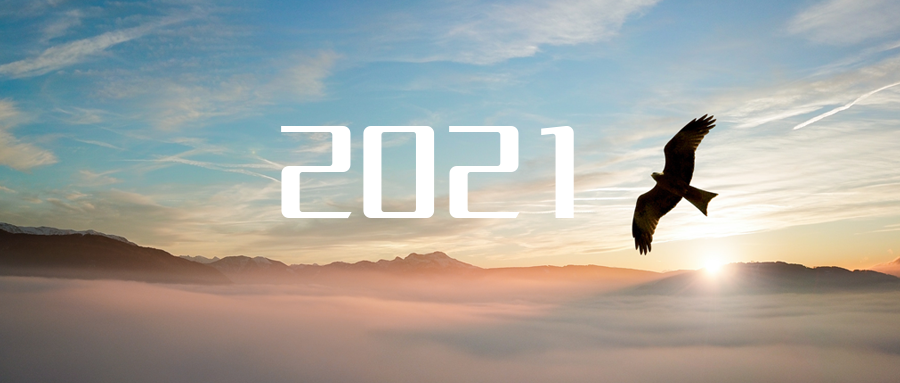 乘“峰”而上，智“盈”未来 ——2021年3377体育高级资深副总裁新年开工动员